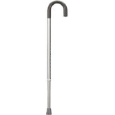 Aluminum Cane Silver